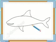 vẽ cá mập 2